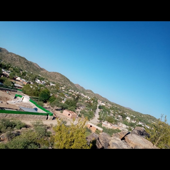 Meet your Posher, Rudy - Picture 1 of 1